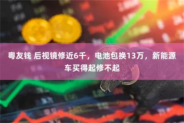 粤友钱 后视镜修近6千，电池包换13万，新能源车买得起修不起